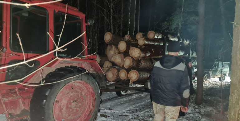 На Рівненщині знову розкрадають ліс: поліція вилучила сім кубів незаконної деревини